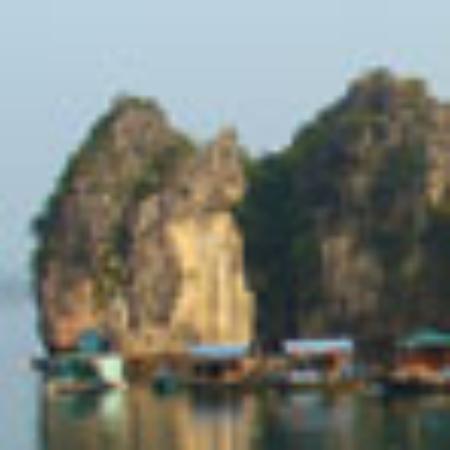 Sweet Tooth Candy Emporium